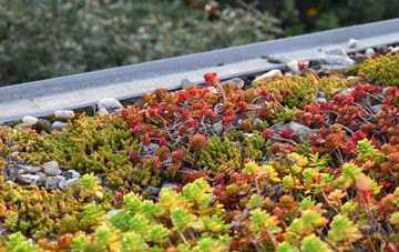 the cost of South Cadbury green roof installation