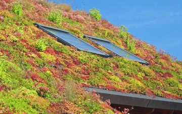 South Cadbury living roof systems